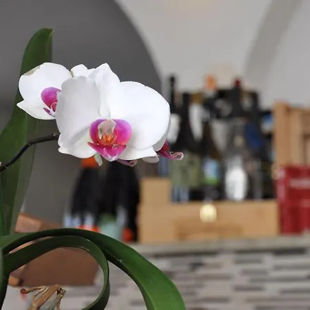 Torre 2* Celle Ligure