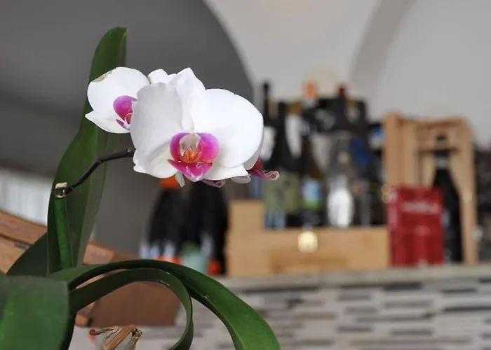 Torre 2* Челле-Лигуре